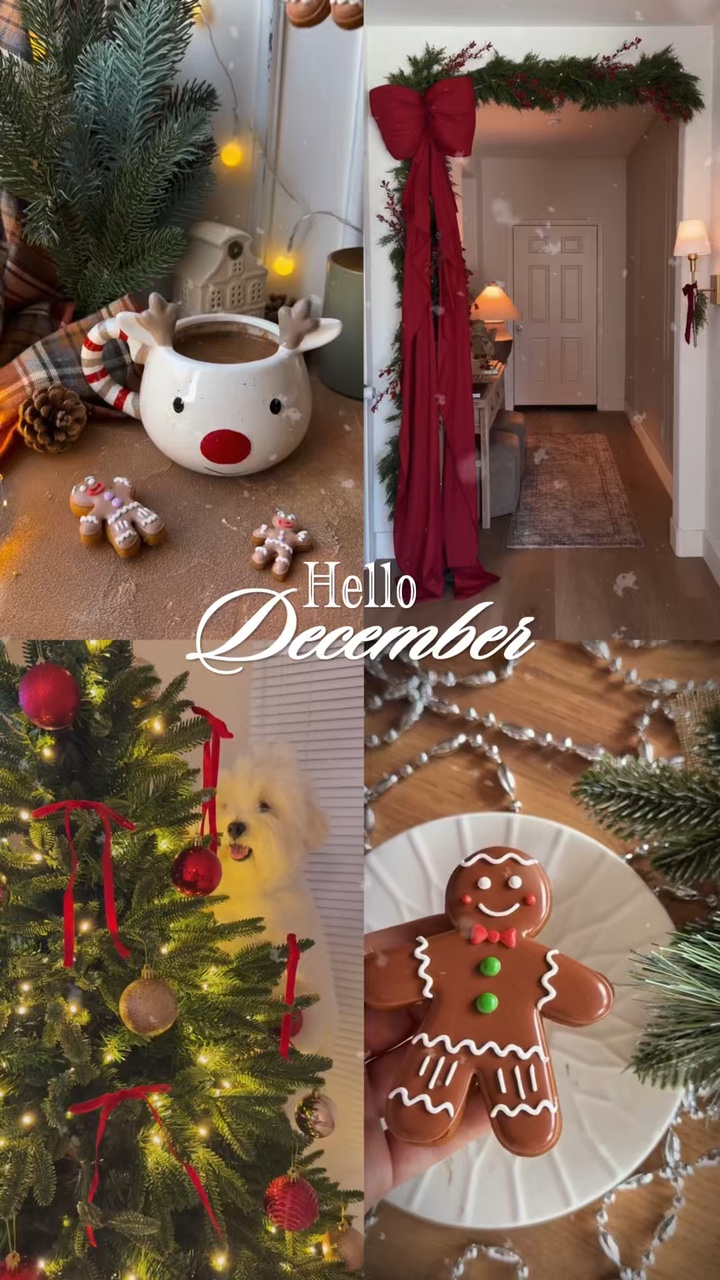 안녕하세요 12월 🎄❄️