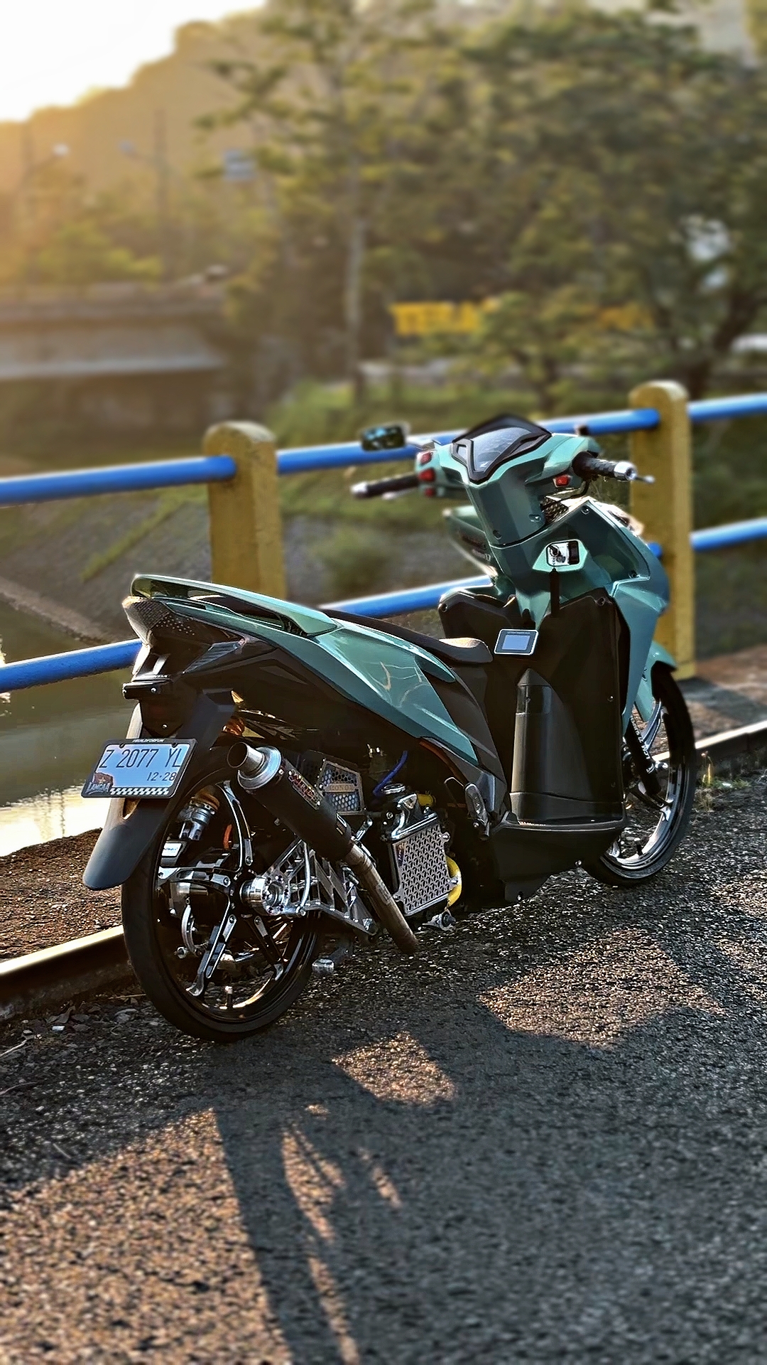 Cover Picture