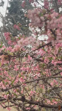 Spring is here