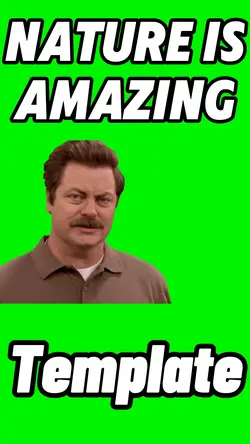 Nature Is Amazing
