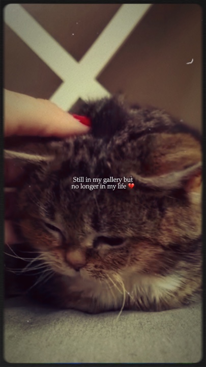 Extraño a mi mascota