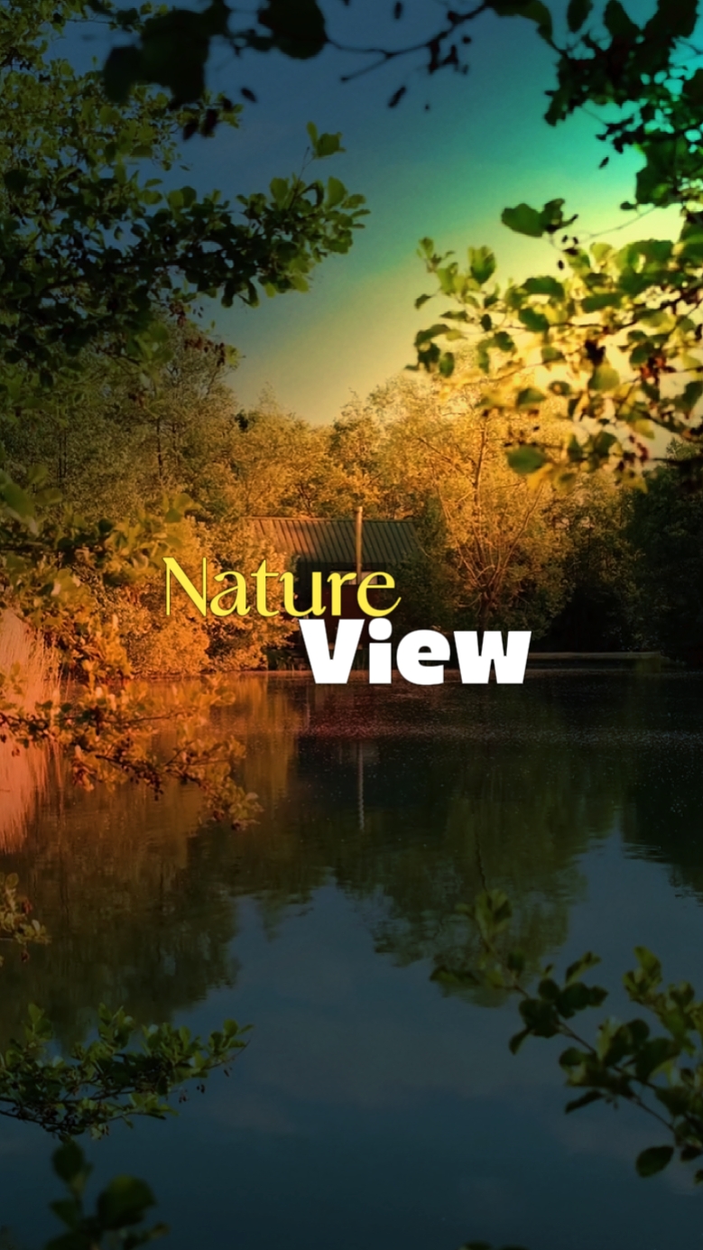 Nature view