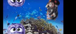 Under the sea