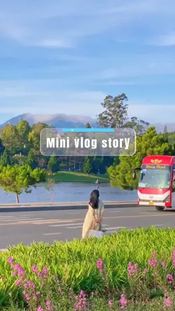 Mini Vlog Story
