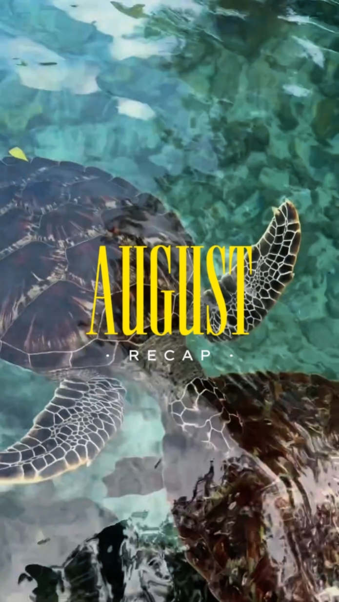 August-Zusammenfassung