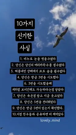 10가지
신기한 사실