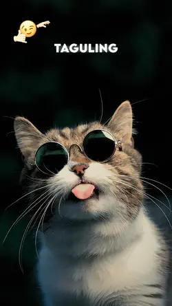 lirik estetik