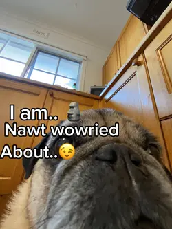 Chasing little fairi