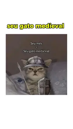seu gato medieval