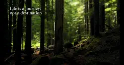 life journey