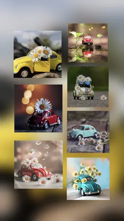 7 photo 7 product 