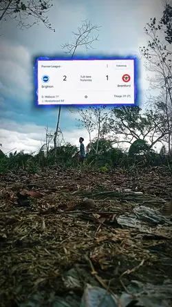 Brightonvsbrentford