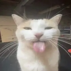<3
