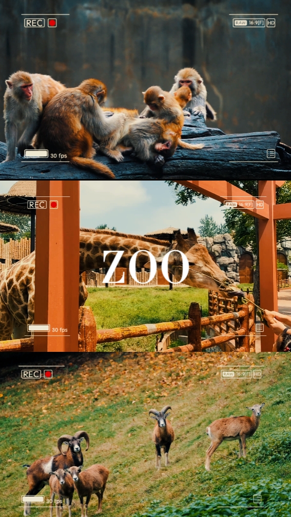 ZOO | 비나탕