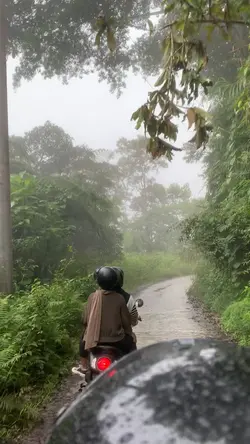 evergreen vibes alam