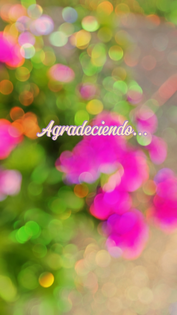 Agradeciendo 