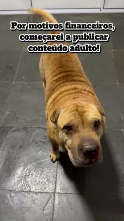 Motivos Financeiros