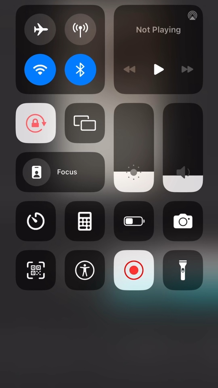 Ropa para mascotas Producto Interfaz de usuario común Recreación Estilo Tiktok