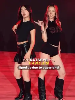 FANCAM