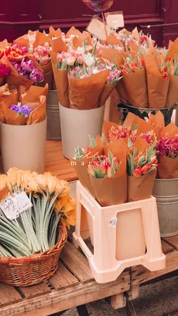Hello March spring 🌸