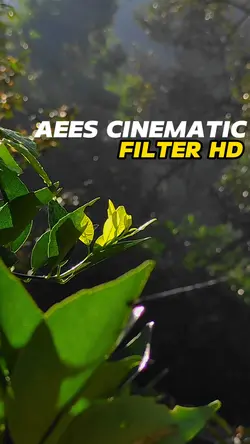 Aees Cinematic 