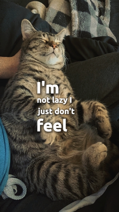 Ich bin nicht faul, nur
