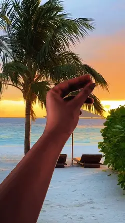 Hand transition