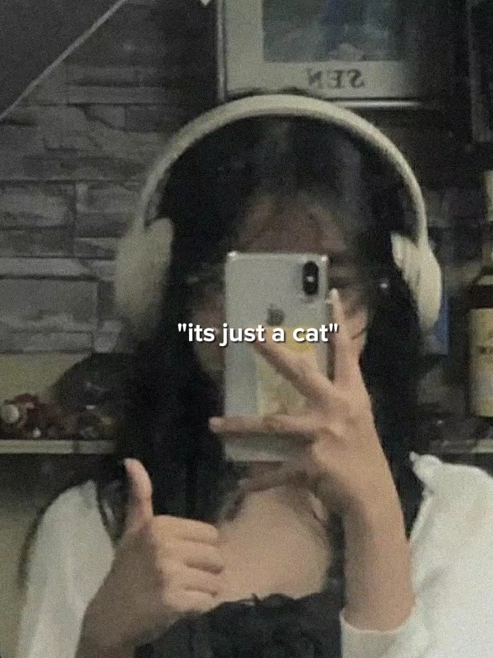 É apenas um gato