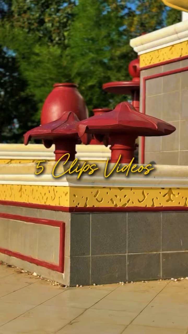 5 Clips Videos