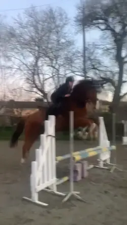 Coco Airlines 