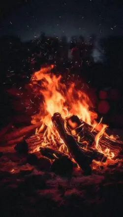 Cozy Bonfire 