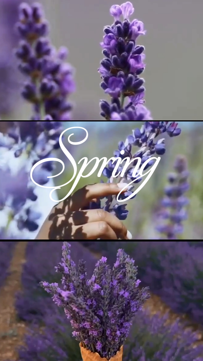 Primavera