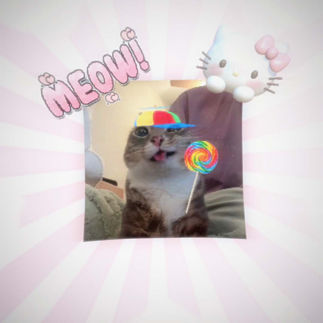 Meow Meow
