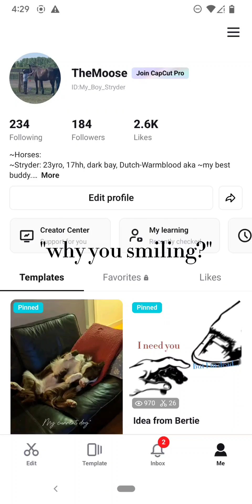 I love you guys 