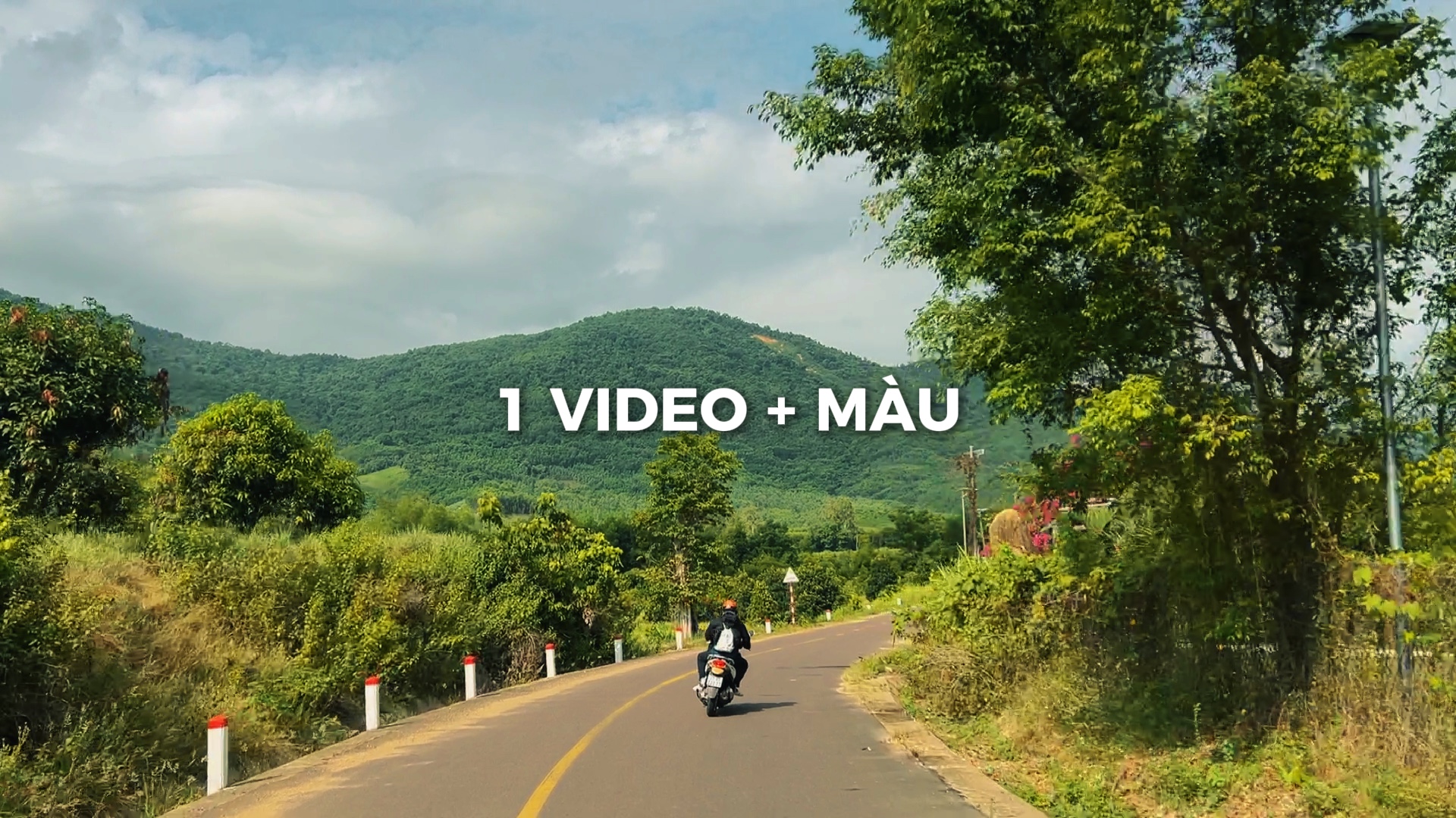 Chill 1 vidéo