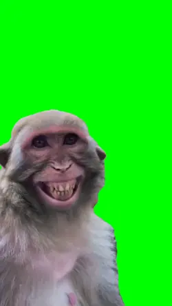 LAUGHING MONKEY