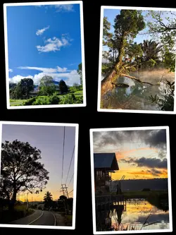 4Pic Clip Aesthetic