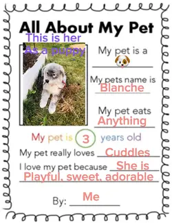 My doggo