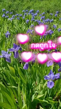 ธรรมชาติสวยงาน