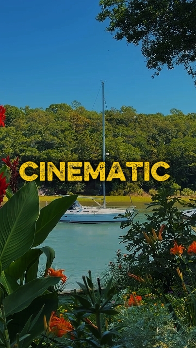 Cinématique 