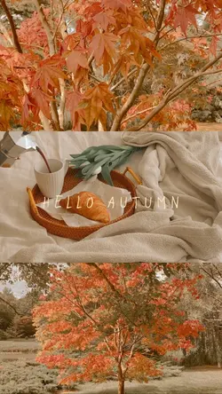 Autumn 3 screen