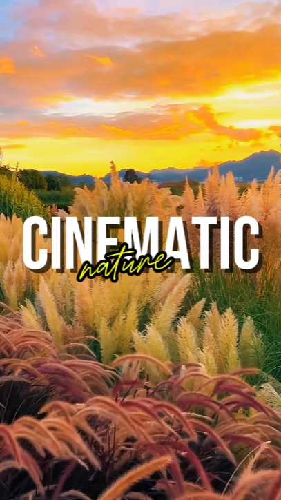 CINEMATIC NATURE