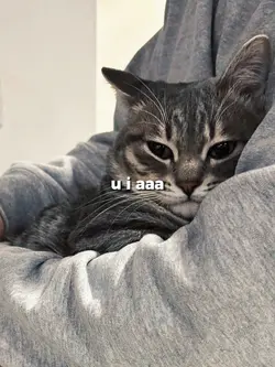 u i aaa u i aaa