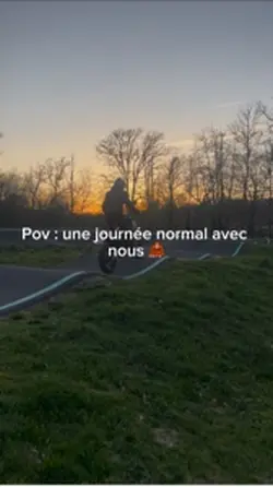 Une journée normal 🦧