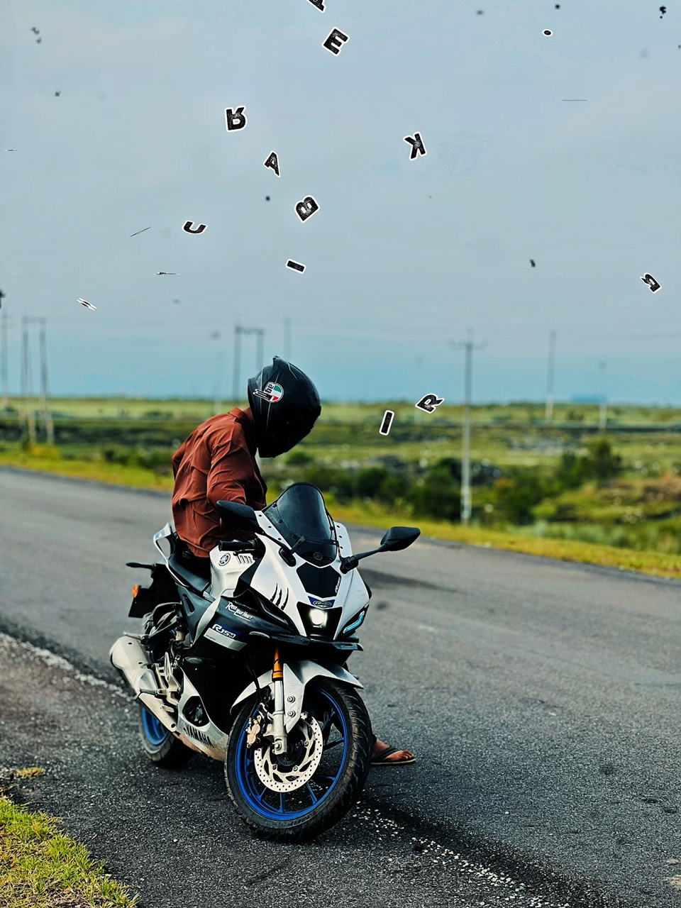 Cover Picture