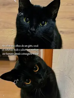 Aqueles olhos
