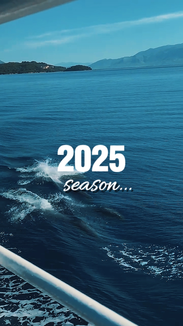 Resumen de 2025 