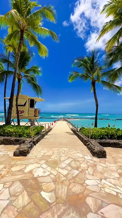 Aesthetic 