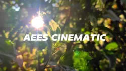 AEES Cinematic