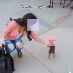How I met my bestie: